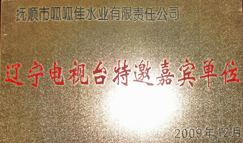 辽宁电视台特邀嘉宾单位.jpg